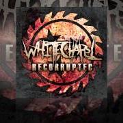 Le texte musical STRENGTH BEYOND STRENGTH (PANTERA COVER) de WHITECHAPEL est également présent dans l'album Recorrupted (2011)