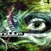 Le texte musical THE TERMINAL de PENDULUM est également présent dans l'album Hold your colour (2005)