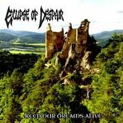 Le texte musical TWO HUNDRED MILES de THIRD PLACE est également présent dans l'album Keep your dream alive (2008)