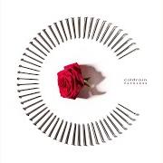 Le texte musical ENVY de COLDRAIN est également présent dans l'album Fateless (2017)