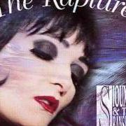 Le texte musical NOT FORGOTTEN de SIOUXSIE AND THE BANSHEES est également présent dans l'album The rapture (1995)