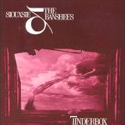 Le texte musical CITIES IN DUST de SIOUXSIE AND THE BANSHEES est également présent dans l'album Tinderbox (1986)
