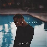 Le texte musical 10 KARATS de THE HOLDUP est également présent dans l'album Leaves in the pool (2016)