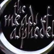 Le texte musical ABORTED STYGIAN FOETUS de THE MEADS OF ASPHODEL est également présent dans l'album In the name of god, welcome to planet genocide - ep (2006)