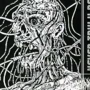 Le texte musical PORTAL OF MADNESS de ABOMINANT est également présent dans l'album Never truly dead (1994)