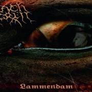 Le texte musical HEXED MELTING FLESH de CARACH ANGREN est également présent dans l'album Lammendam (2008)