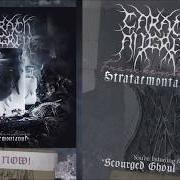 Le texte musical SEWN FOR SOLITUDE de CARACH ANGREN est également présent dans l'album Franckensteina strataemontanus (2020)