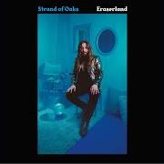 Le texte musical VISIONS de STRAND OF OAKS est également présent dans l'album Eraserland (2019)