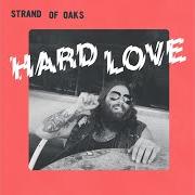 Le texte musical CRY de STRAND OF OAKS est également présent dans l'album Hard love (2017)