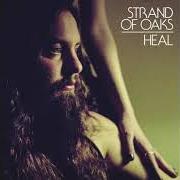 Le texte musical SHUT IN de STRAND OF OAKS est également présent dans l'album Heal (2014)