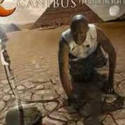 Le texte musical LIQUID WORDZ de CANIBUS est également présent dans l'album For whom the beat tolls (2007)