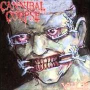 Le texte musical DISFIGURED de CANNIBAL CORPSE est également présent dans l'album Vile (1996)