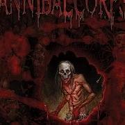 Le texte musical AS DEEP AS THE KNIFE WILL GO de CANNIBAL CORPSE est également présent dans l'album Torture (2012)