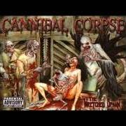 Le texte musical FRANTIC DISEMBOWELMENT de CANNIBAL CORPSE est également présent dans l'album The wretched spawn (2004)