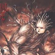 Le texte musical DEAD HUMAN COLLECTION de CANNIBAL CORPSE est également présent dans l'album Bloodthirst (1999)