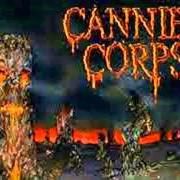 Le texte musical BLOODSTAINED CEMENT de CANNIBAL CORPSE est également présent dans l'album A skeletal domain (2014)