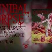 Le texte musical BOUND AND BURNED de CANNIBAL CORPSE est également présent dans l'album Violence unimagined (2021)