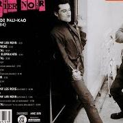 Le texte musical LA MORT AU CHOIX de BÉRURIER NOIR est également présent dans l'album La bataille de palikao (1984)