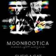 Le texte musical LIKE A RIOT de MOONBOOTICA est également présent dans l'album Moonlight welfare (2007)