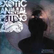 Le texte musical B) CURSE OF THE SANDS de EXOTIC ANIMAL PETTING ZOO est également présent dans l'album I have made my bed in darkness (2008)
