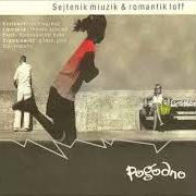 Le texte musical WIEżA de POGODNO est également présent dans l'album Sejtenik miuzik (2001)
