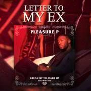 Le texte musical SEX MECHANIC de PLEASURE P est également présent dans l'album Break up to make up (2014)
