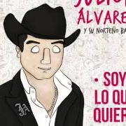 Le texte musical LÁGRIMAS de JULION ALVAREZ est également présent dans l'album Soy lo que quiero...Indispensable (2014)