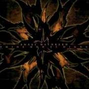 Le texte musical TO ERR IS HUMAN, TO DREAM - FUTILE de ANAAL NATHRAKH est également présent dans l'album Domine non es dignus (2004)