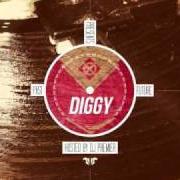 Le texte musical MADE YOU LOOK (FLOW STOOPID) de DIGGY SIMMONS est également présent dans l'album Past presents future (2010)