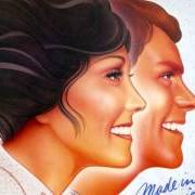 Le texte musical BECAUSE WE ARE IN LOVE (THE WEDDING SONG) de THE CARPENTERS est également présent dans l'album Made in america (1981)