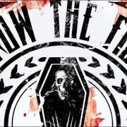 Le texte musical YOU CAN'T SWIM WITH CONCRETE SHOES de THROW THE FIGHT est également présent dans l'album What doesn't kill us (2012)