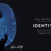 Le texte musical IN MY VEINS de COLTON DIXON est également présent dans l'album Identity (2017)