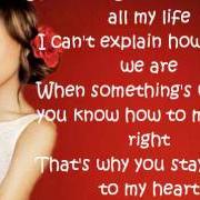 Le texte musical THE LOVE WE GOT de KARINA PASIAN est également présent dans l'album First love (2008)
