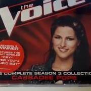 Le texte musical STUPID BOY de CASSADEE POPE est également présent dans l'album The voice: the complete season 3 collection (2012)