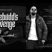 Le texte musical PRAY 4 ME de ROC MARCIANO est également présent dans l'album Rosebudd's revenge (2017)