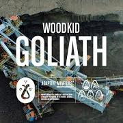 Le texte musical PALE YELLOW de WOODKID est également présent dans l'album S16 (2020)