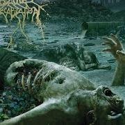 Le texte musical REDUCED TO PASTE de CATTLE DECAPITATION est également présent dans l'album The anthropocene extinction (2015)