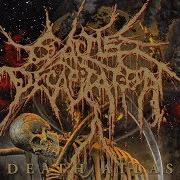 Le texte musical VULTUROUS de CATTLE DECAPITATION est également présent dans l'album Death atlas (2019)