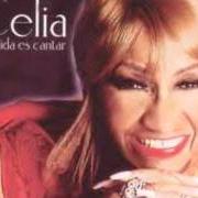 Le texte musical PASAPORTE LATINOAMERICANO de CELIA CRUZ est également présent dans l'album Azucar negra (1993)