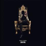 Le texte musical 207 de FALLY IPUPA est également présent dans l'album Control (2018)