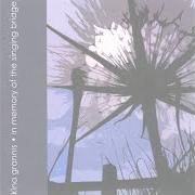Le texte musical WALK ON de KINA GRANNIS est également présent dans l'album In memory of the singing bridge (2006)