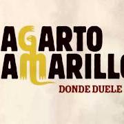 Le texte musical LOS DOMINGOS POR LA TARDE de LAGARTO AMARILLO est également présent dans l'album Estoy mintiendo de verdad (2012)