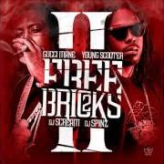 Le texte musical ANOTHER NIGGA BITCH WIT ME de YOUNG SCOOTER est également présent dans l'album Free bricks 2 (2013)