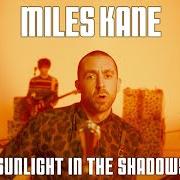 Sunlight in the shadows