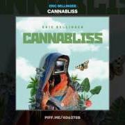 Le texte musical BLAZIN' WIT THE BOYS de ERIC BELLINGER est également présent dans l'album Canabliss (2017)