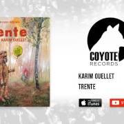 Le texte musical CŒUR DE PIERRE de KARIM OUELLET est également présent dans l'album Trente (2016)