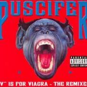 Le texte musical QUEEN B. de PUSCIFER est également présent dans l'album V is for vagina (2007)