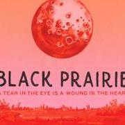 Le texte musical LITTLE SONG BIRD de BLACK PRAIRIE est également présent dans l'album A tear in the eye is a wound in the heart (2012)