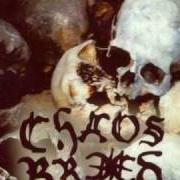 Le texte musical FACES OF DEATH de CHAOSBREED est également présent dans l'album Brutal (2004)