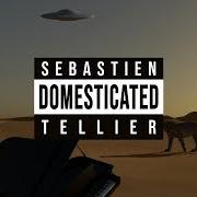 Le texte musical DOMESTIC TASKS de SÉBASTIEN TELLIER est également présent dans l'album Domesticated (2020)